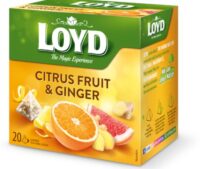 Tee LOYD ingveri- ja tsitrusemaitseline 20 x 2g