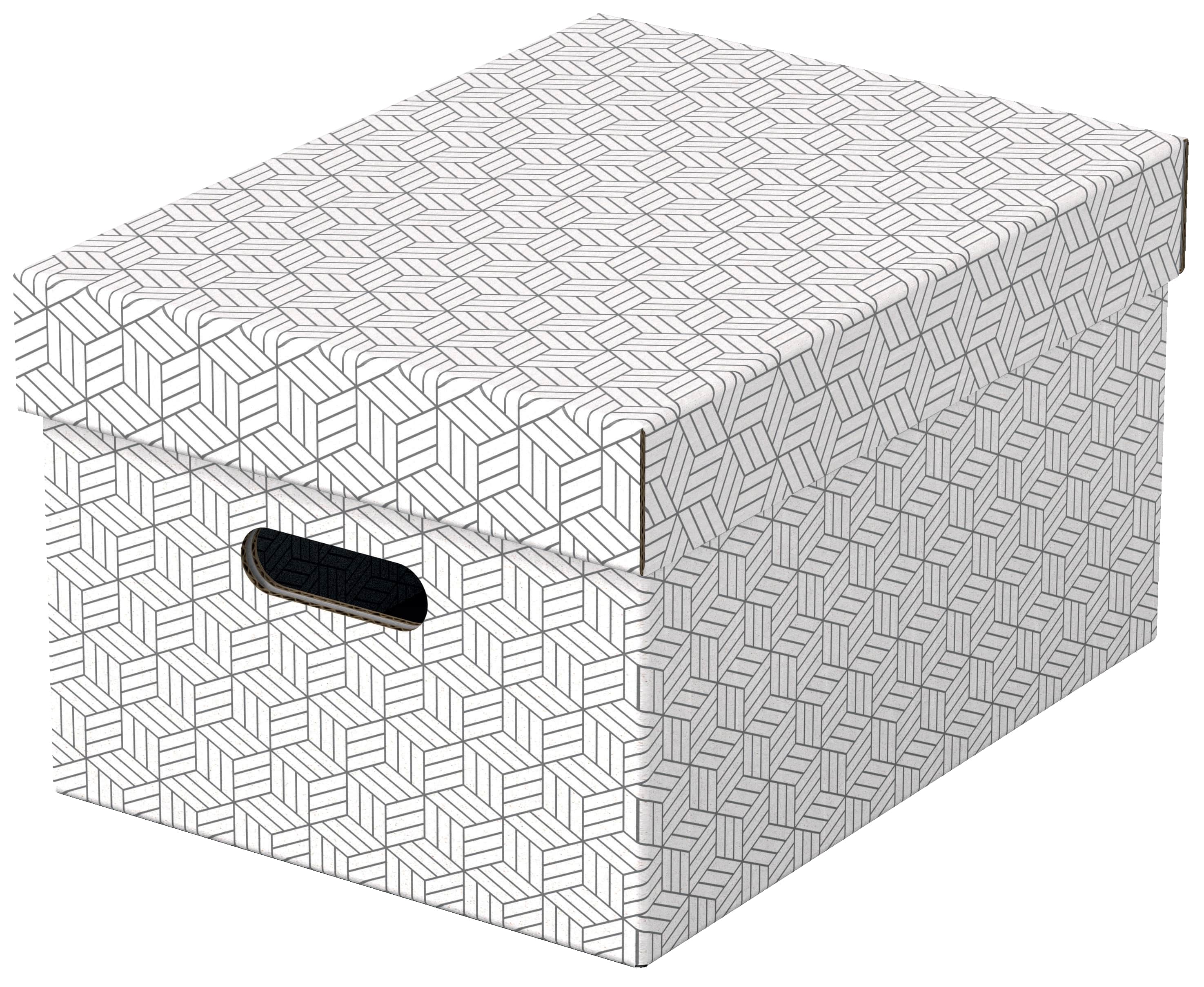 Hoiukast kaanega Esselte 265x205x365mm, valge/hall 3tk