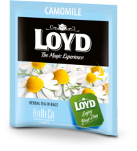Kummelitee LOYD Horeca 500 x 1.5g
