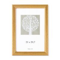 Pildiraam SAVEX 21x29,7cm, plast, kuld