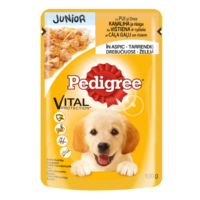 Junior koeraeine PEDIGREE kutsikatele kanalihaga tarrendis, 100 g