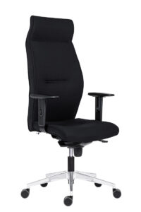 Juhitool ANTARES LEI 1824, must