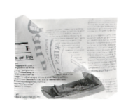 NEWSPAPER, Hamburgeritasku, paberist 150x150 mm, 250 tk