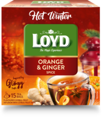 LOYD Puuviljamaitseline tee ,Hot Winter, apelsini ja ingveri , 15 x 3 g